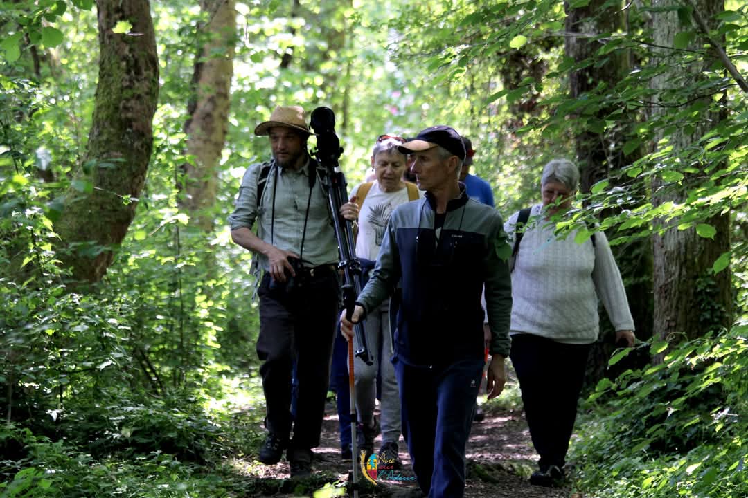 Balade nocturne aux Saligues de Prentigarde