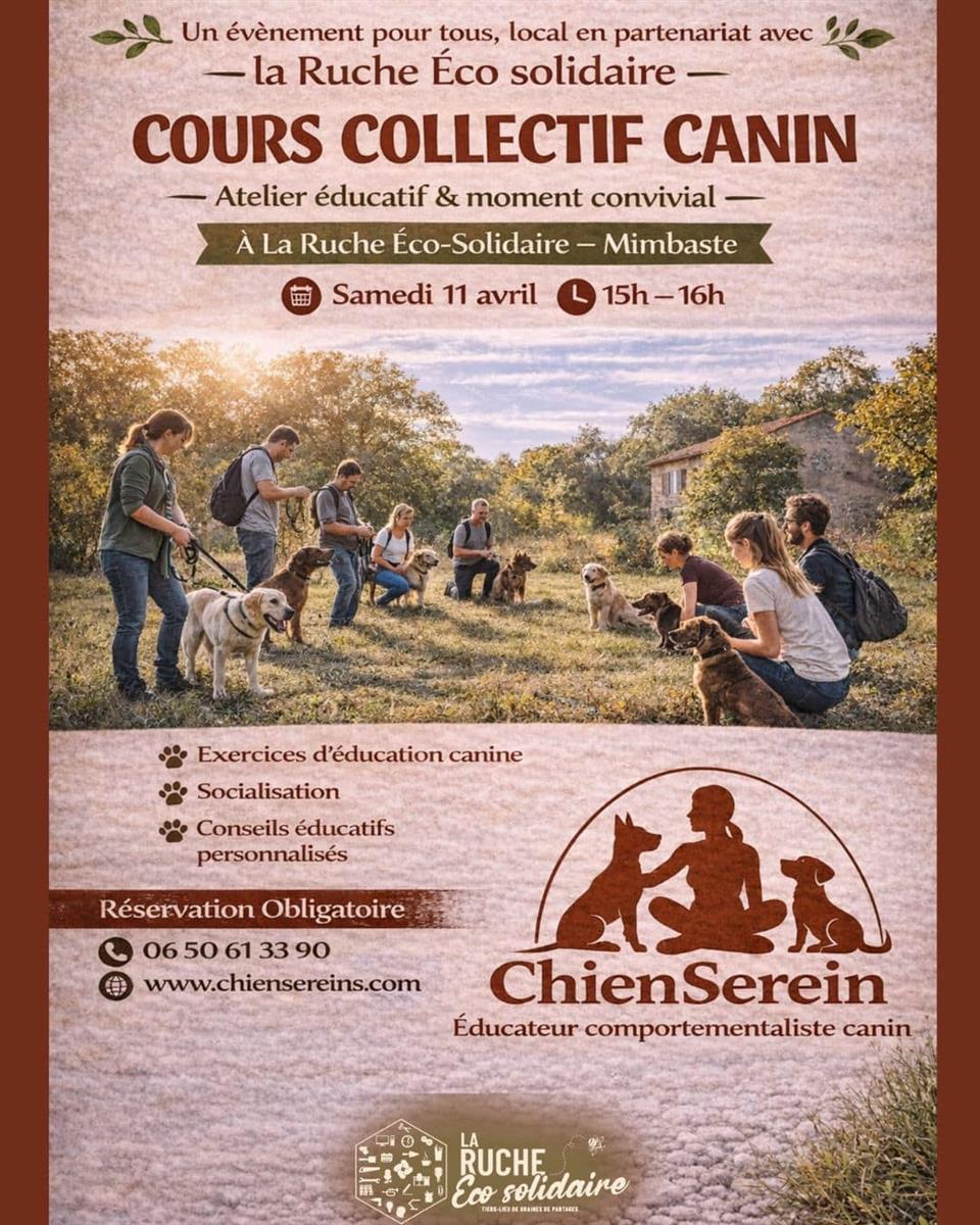 Cours collectif canin