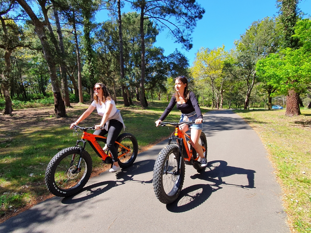 Balade accompagnée en fat bike électrique : pl ...