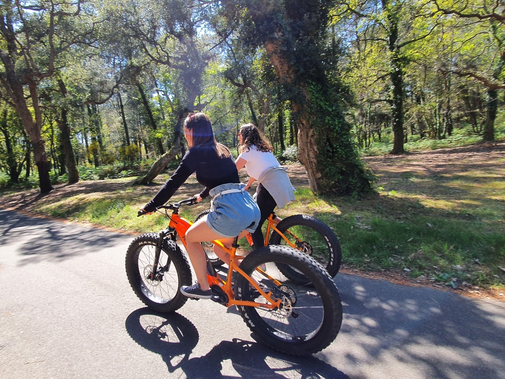Balade accompagnée en fat bike électrique : pl ...
