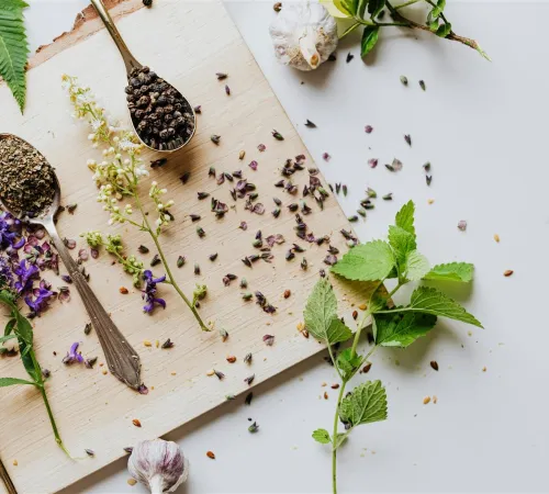 Cuisine sauvage d'automne