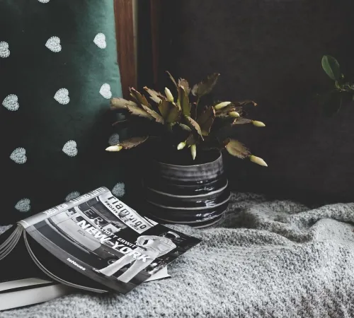 Club lecture vert