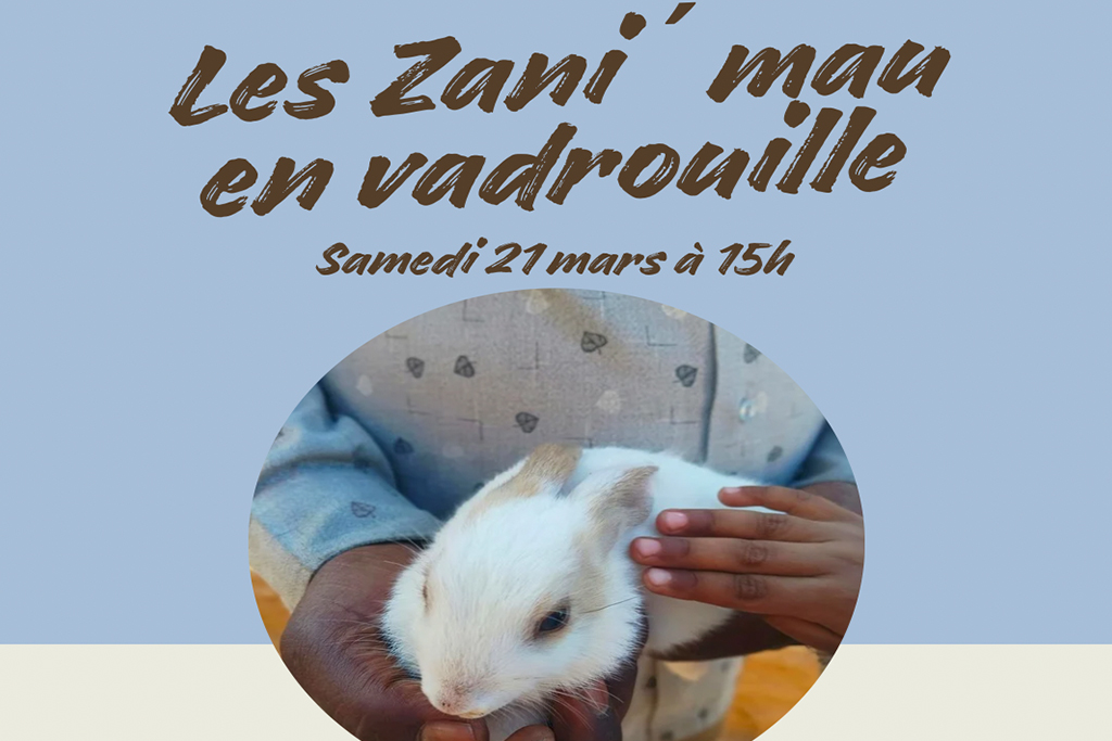Les Zani'mau en vadrouille