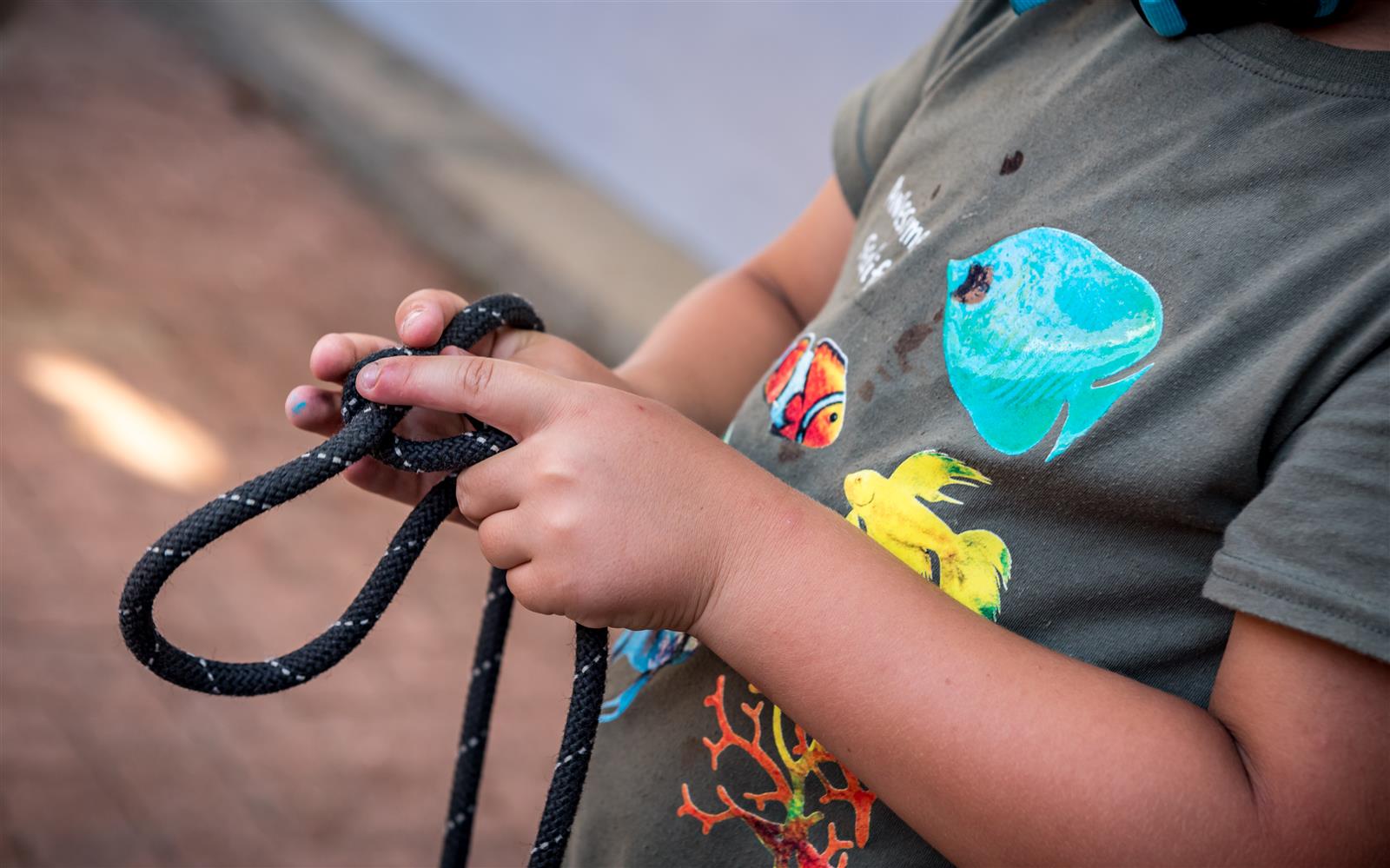 HISSE ET OH MATELOT !