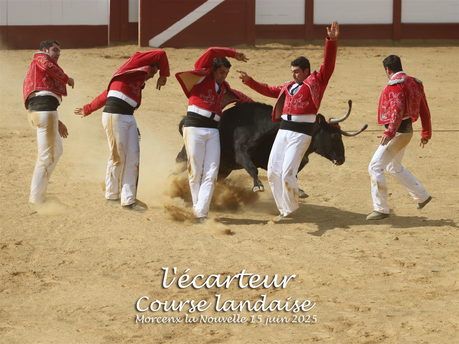 Estivale en Pays Morcenais, "Les arènes en fêt ...