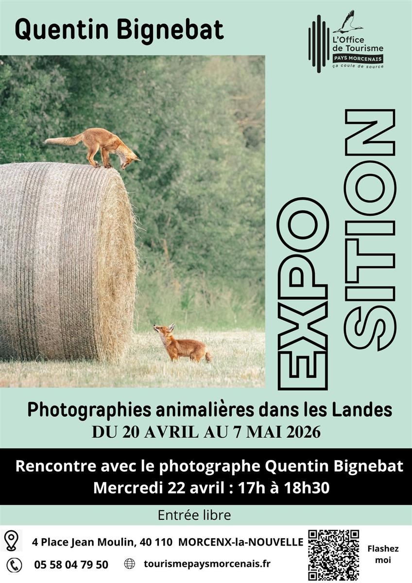 Quentin Bignebat - Photos Animalières des Landes