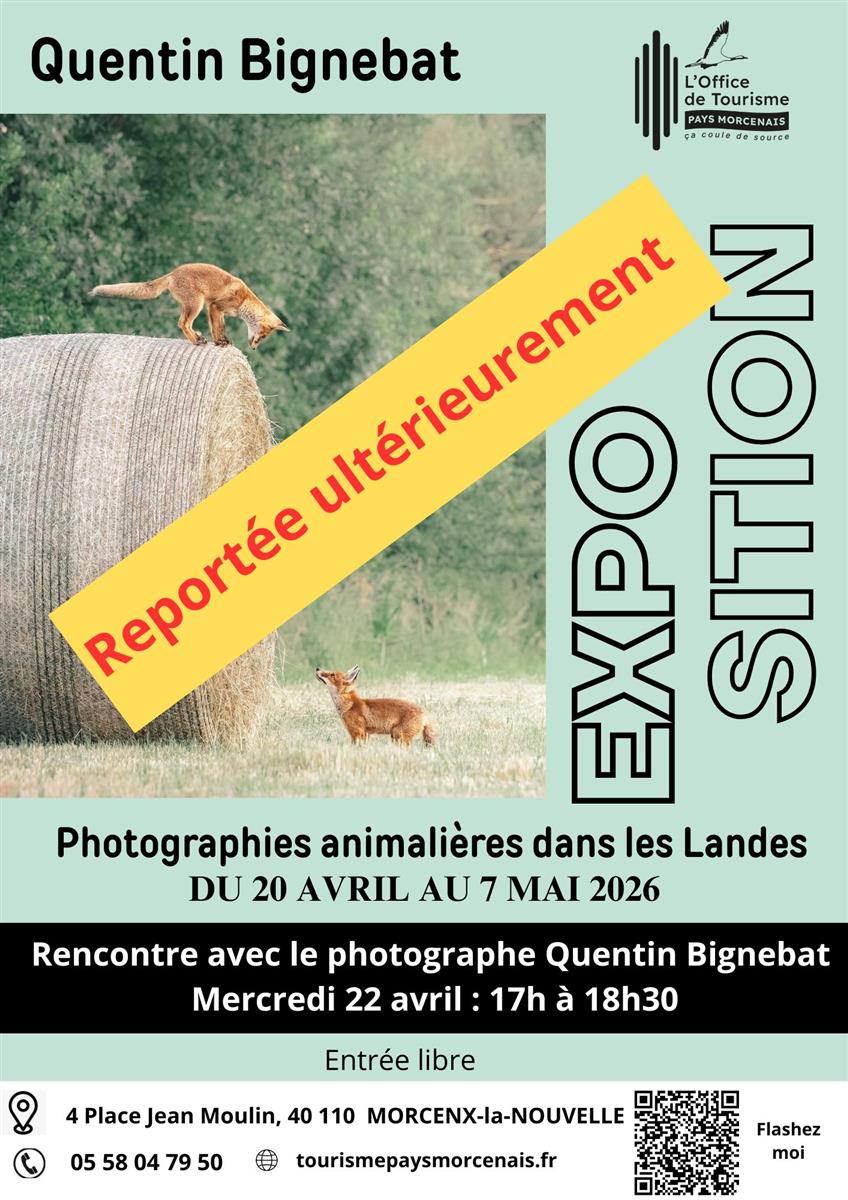 Quentin Bignebat - Photos Animalières des Landes