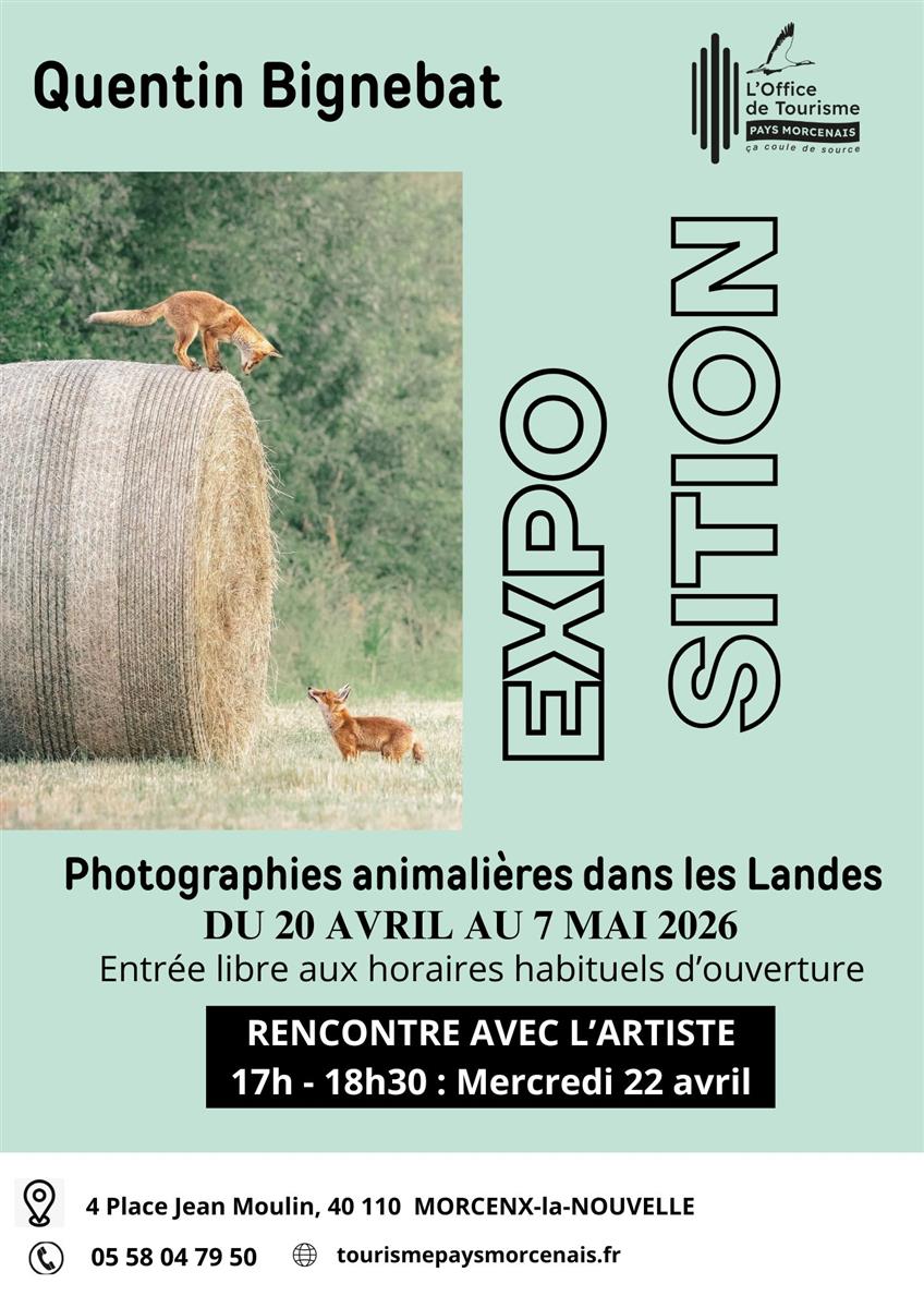 Aujourd'hui, rencontrez le photographe Quentin ...