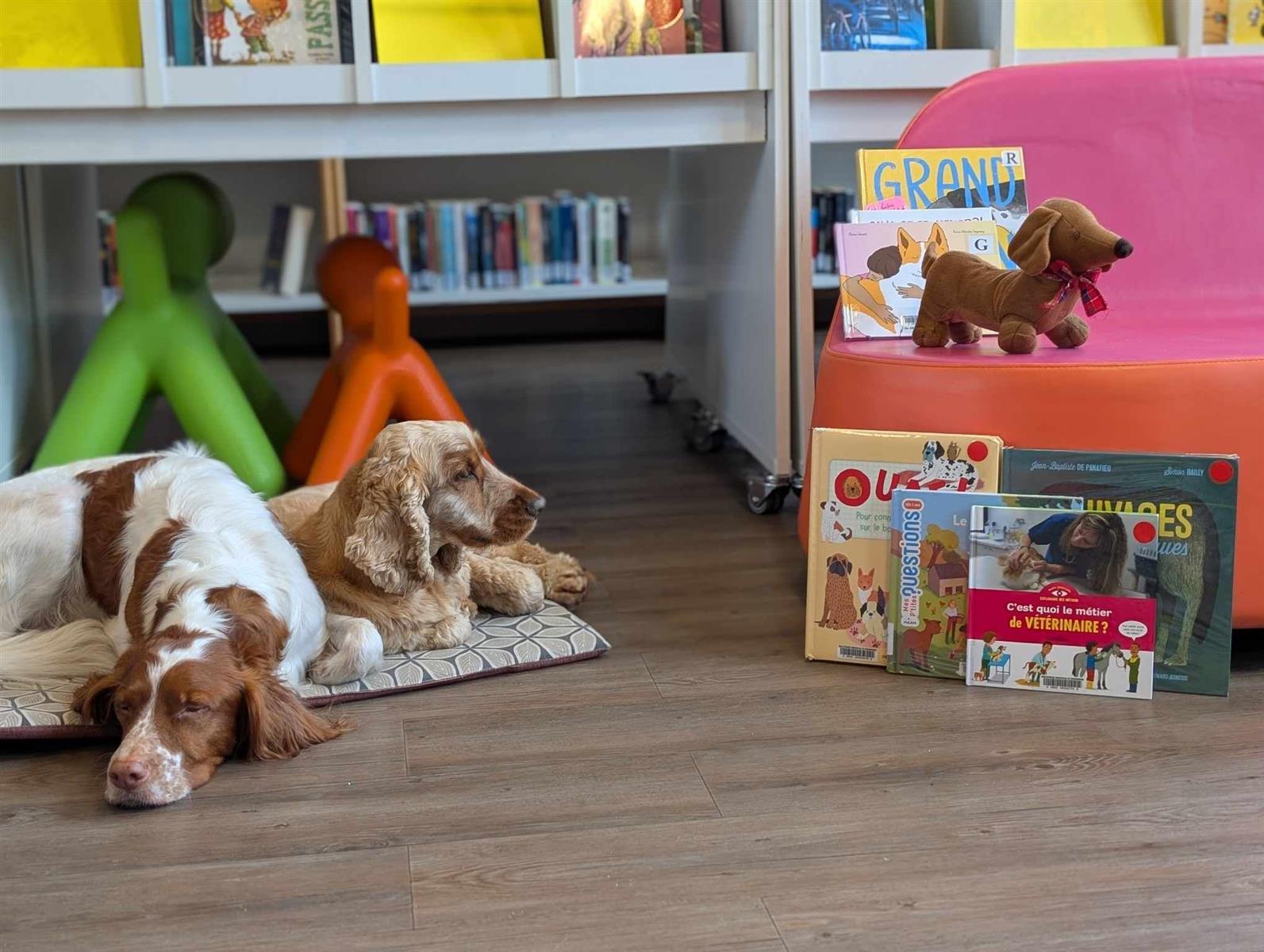 Lire avec les chiens