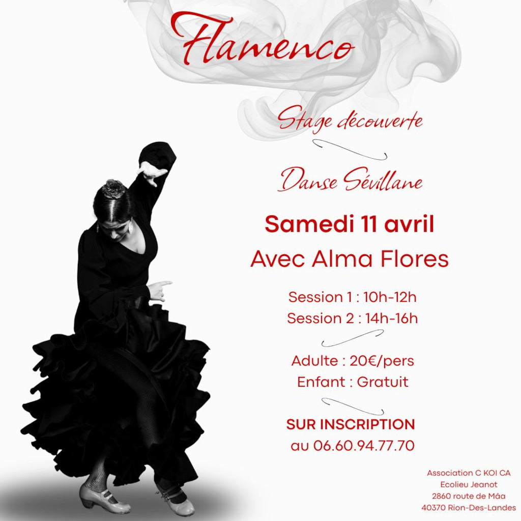 Stage de Flamenco
