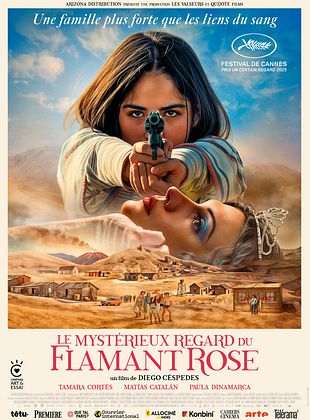 Ciné Rencontre - Le Mystérieux regard du flama ...