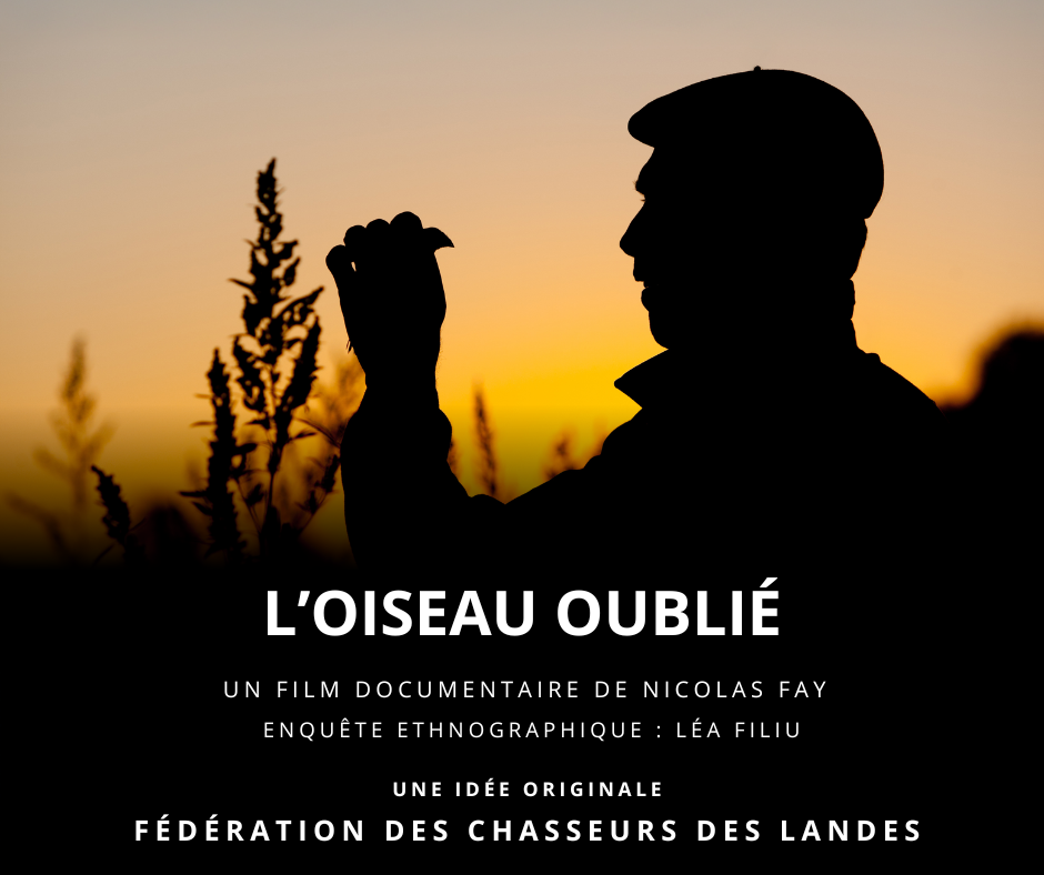 Ciné Rencontre - L'oiseau oublié