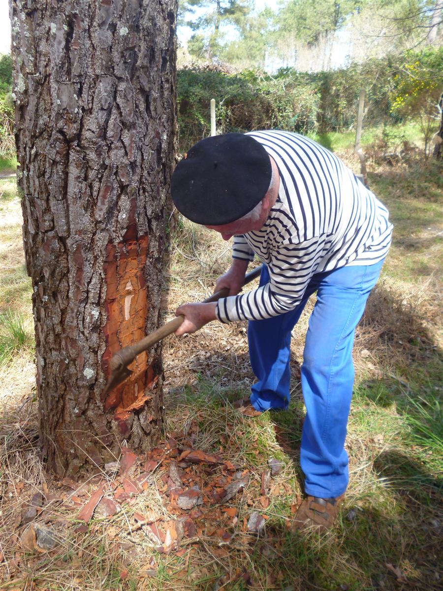 Portes ouvertes - La Maison de la gemme, temps ...
