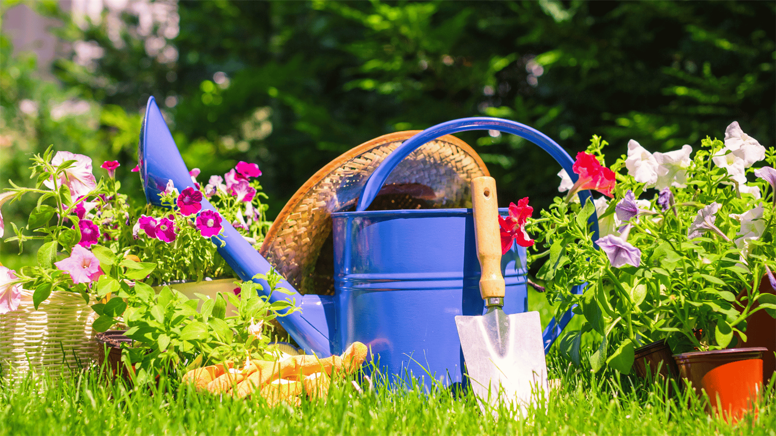 Les Floralies de l'ACBV