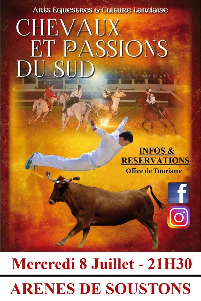Chevaux et Passions du Sud