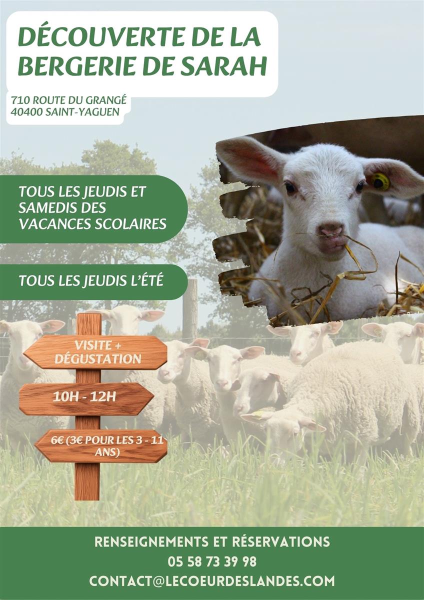 Découverte de la bergerie de Sarah : Visite &  ...
