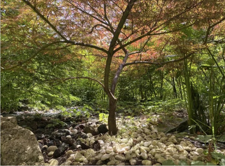 Visite des lilliputiens, une question de point ...