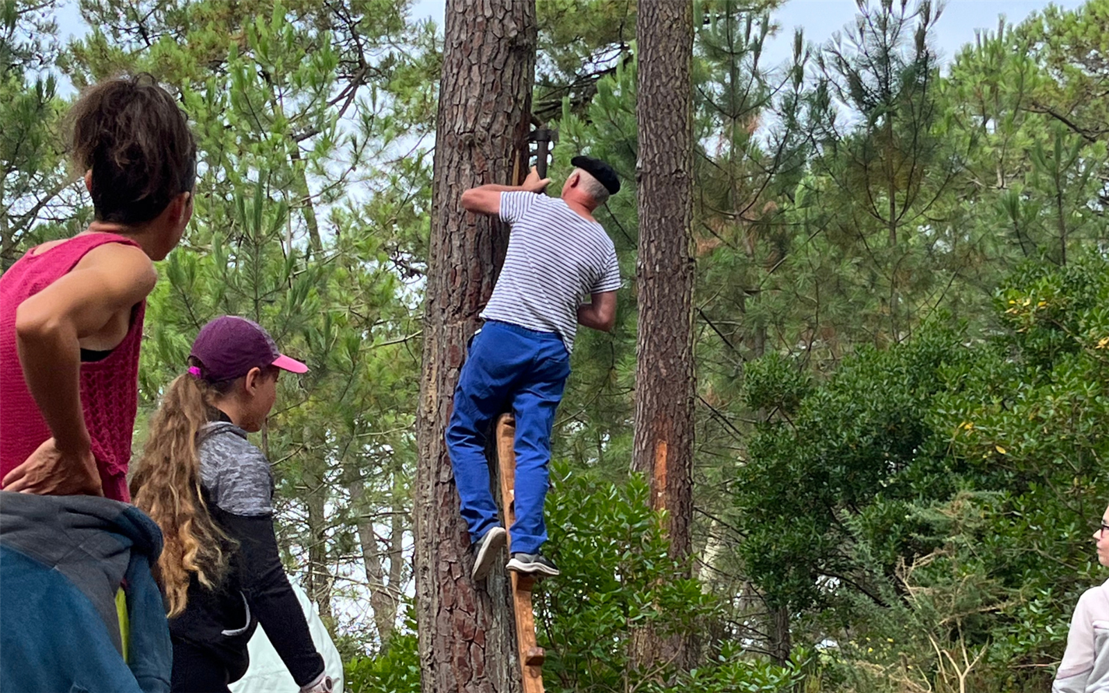 Visite du Sentier des résiniers
