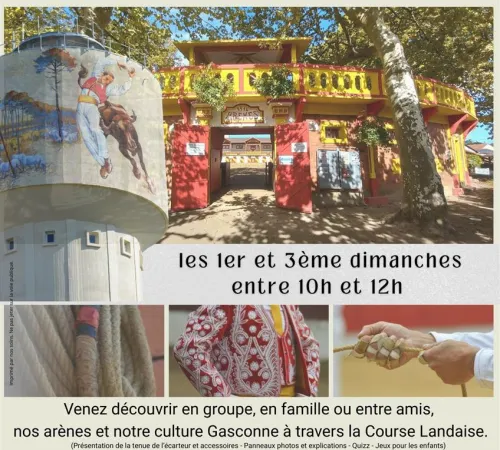 Visite commentée des Arènes