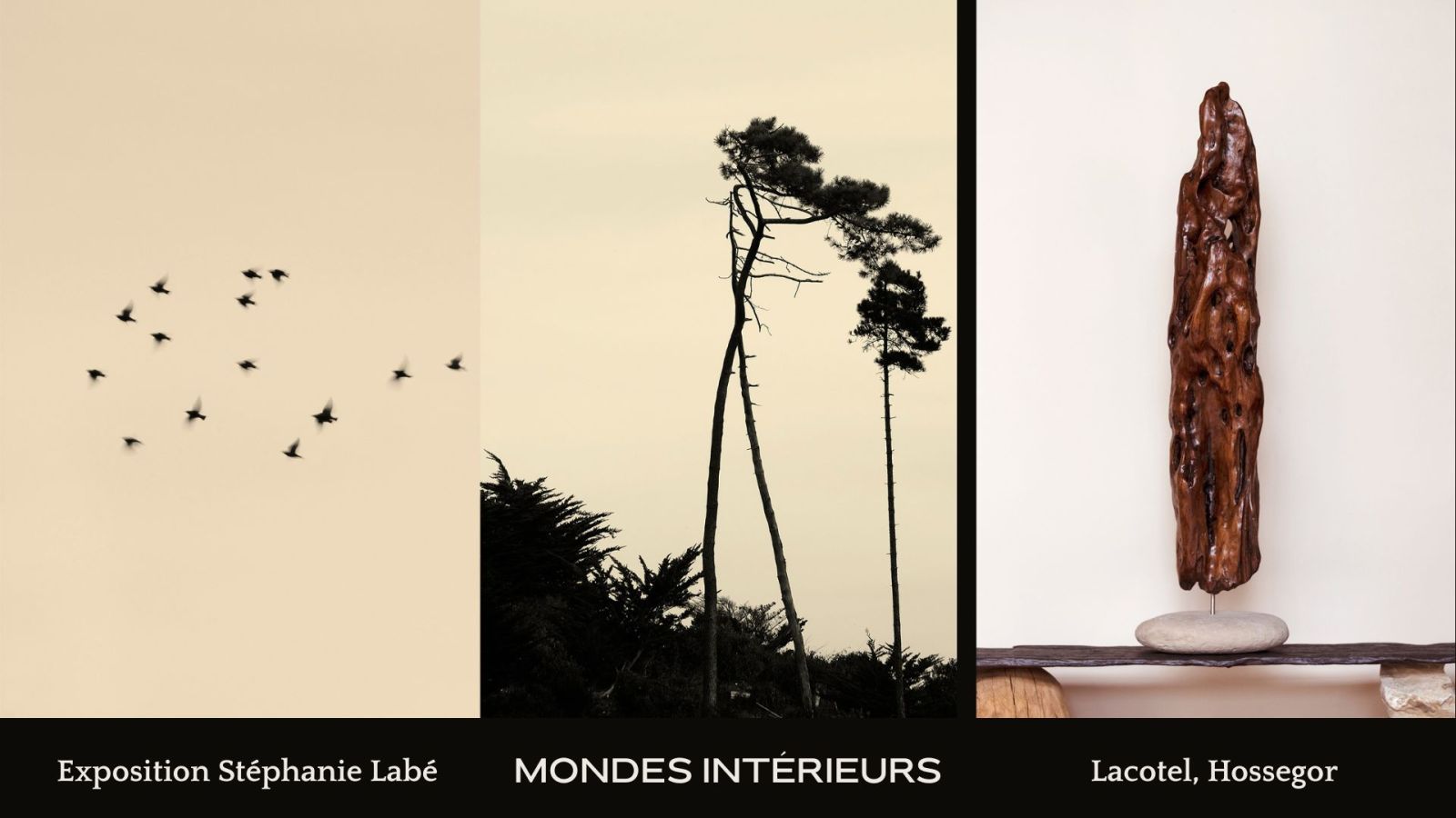 Exposition de photographies "Mondes intérieurs"