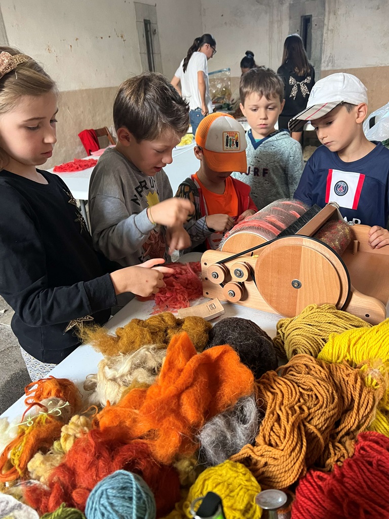 PARCC : atelier "découvrir la laine : initiati ...