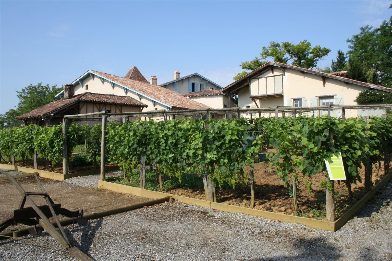 Journées européennes du patrimoine au Musée de ...