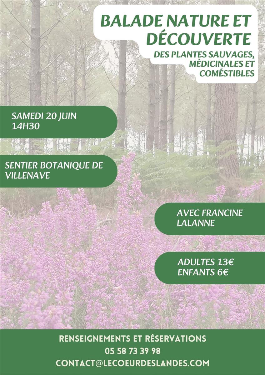 A la découverte des plantes sauvages, médicina ...