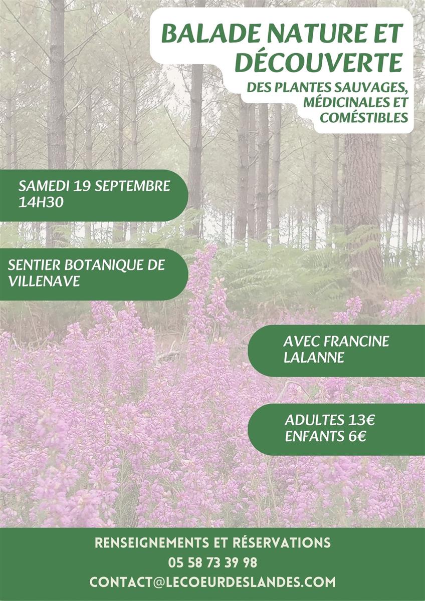 A la découverte des plantes sauvages, médicina ...