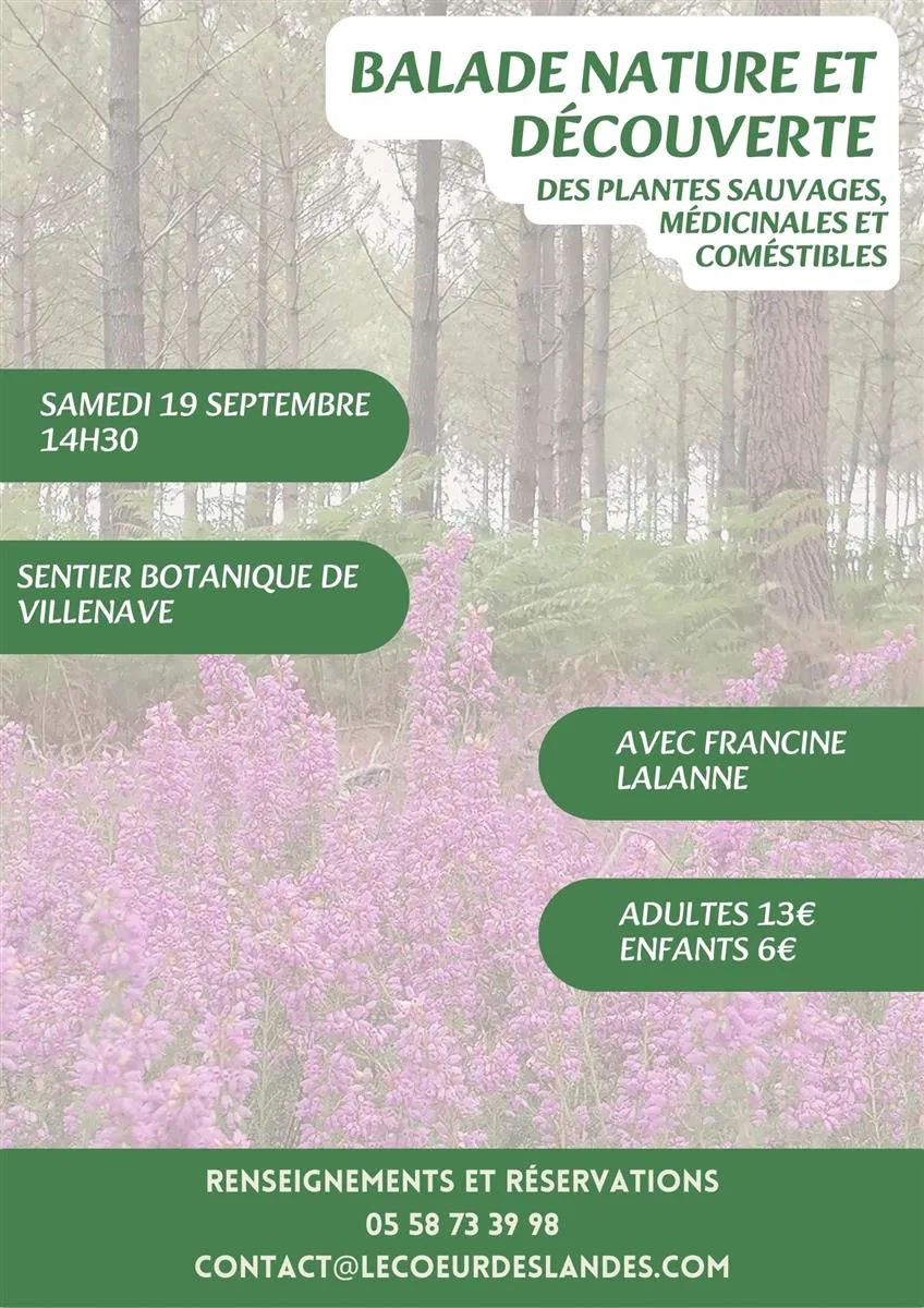 A la découverte des p ... - Crédit: OTPT | CC BY-NC-ND 4.0