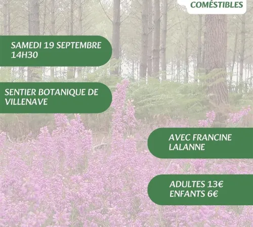 A la découverte des plantes sauvages, médicinales et comestibles avec Francine