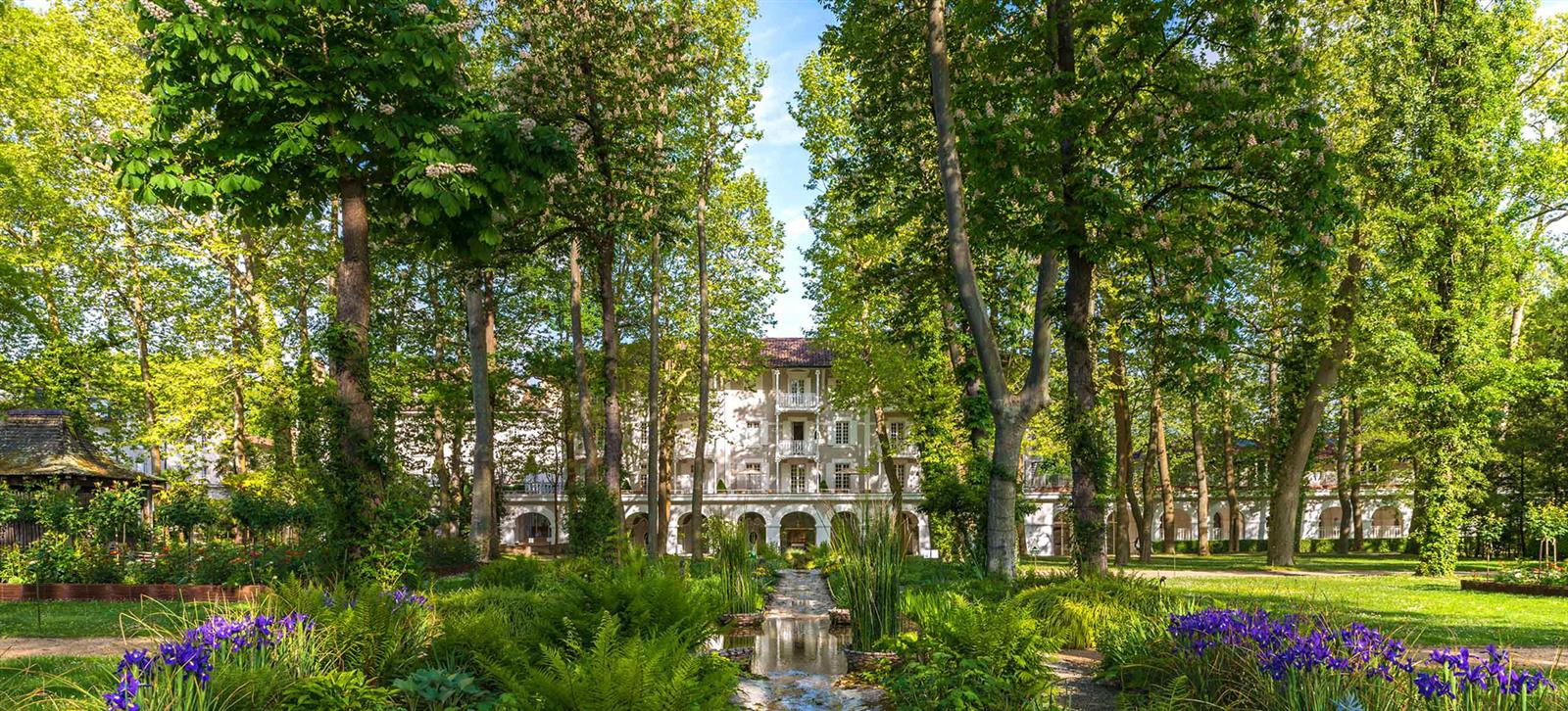 MISE AU VERT & GOURMANDISES