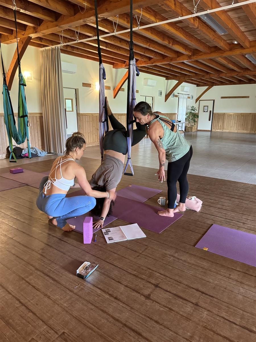 Formation en Yoga aérien