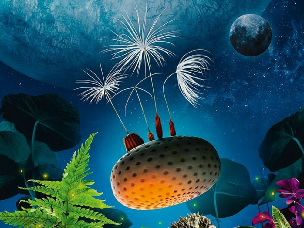 Cinéma et Atelier scientifique, dès 8 ans