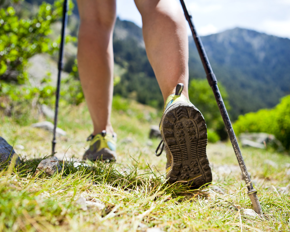 Randonnée pédestre