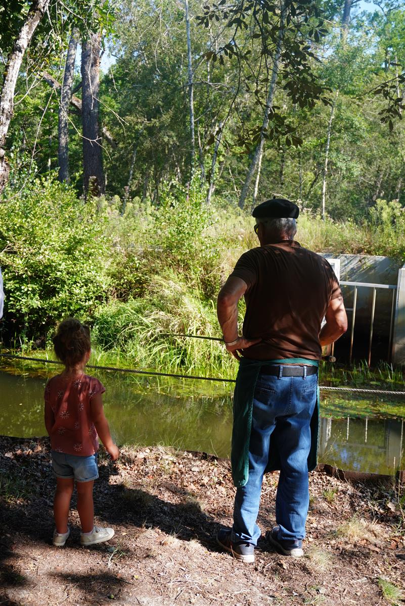 Faune et traditions à Marquèze