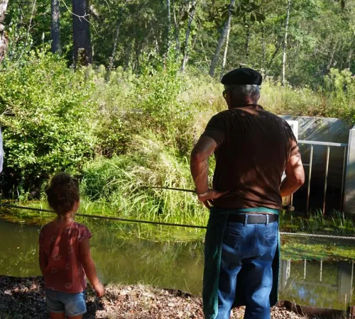 Faune et traditions à Marquèze