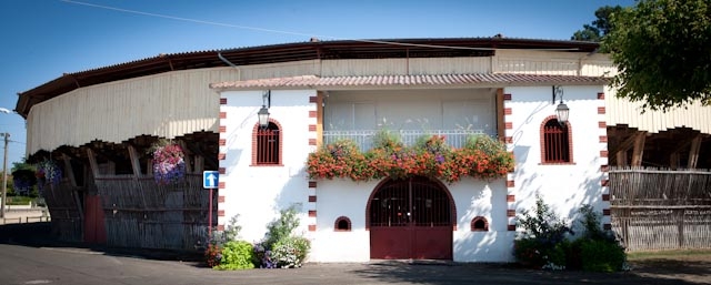 Visite commentée de la Monumental des Pins