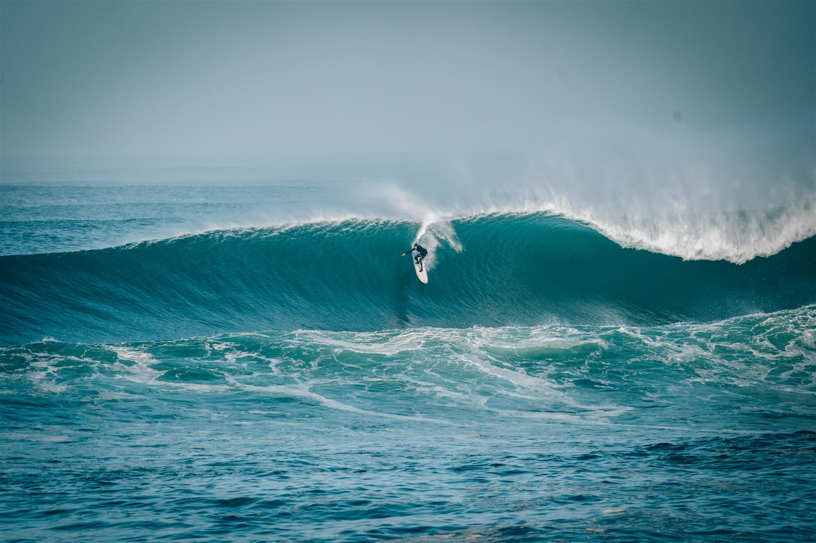 Royal Barrique 2026 • Waiting Period sur le mo ...