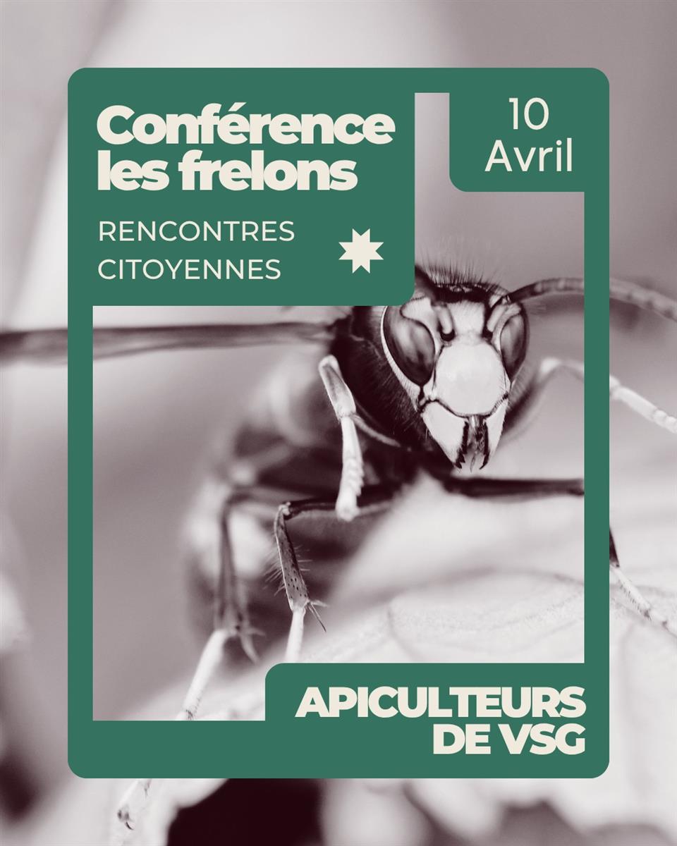 Conférence sur les frelons