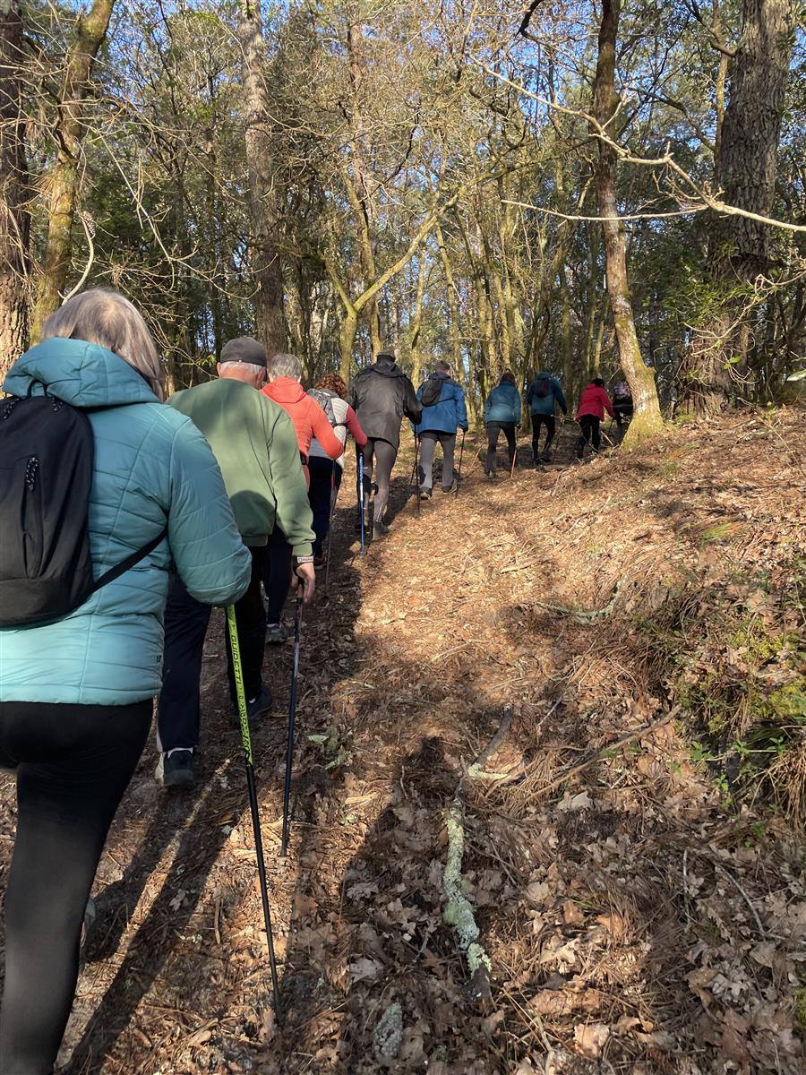 Découverte gratuite de marche nordique