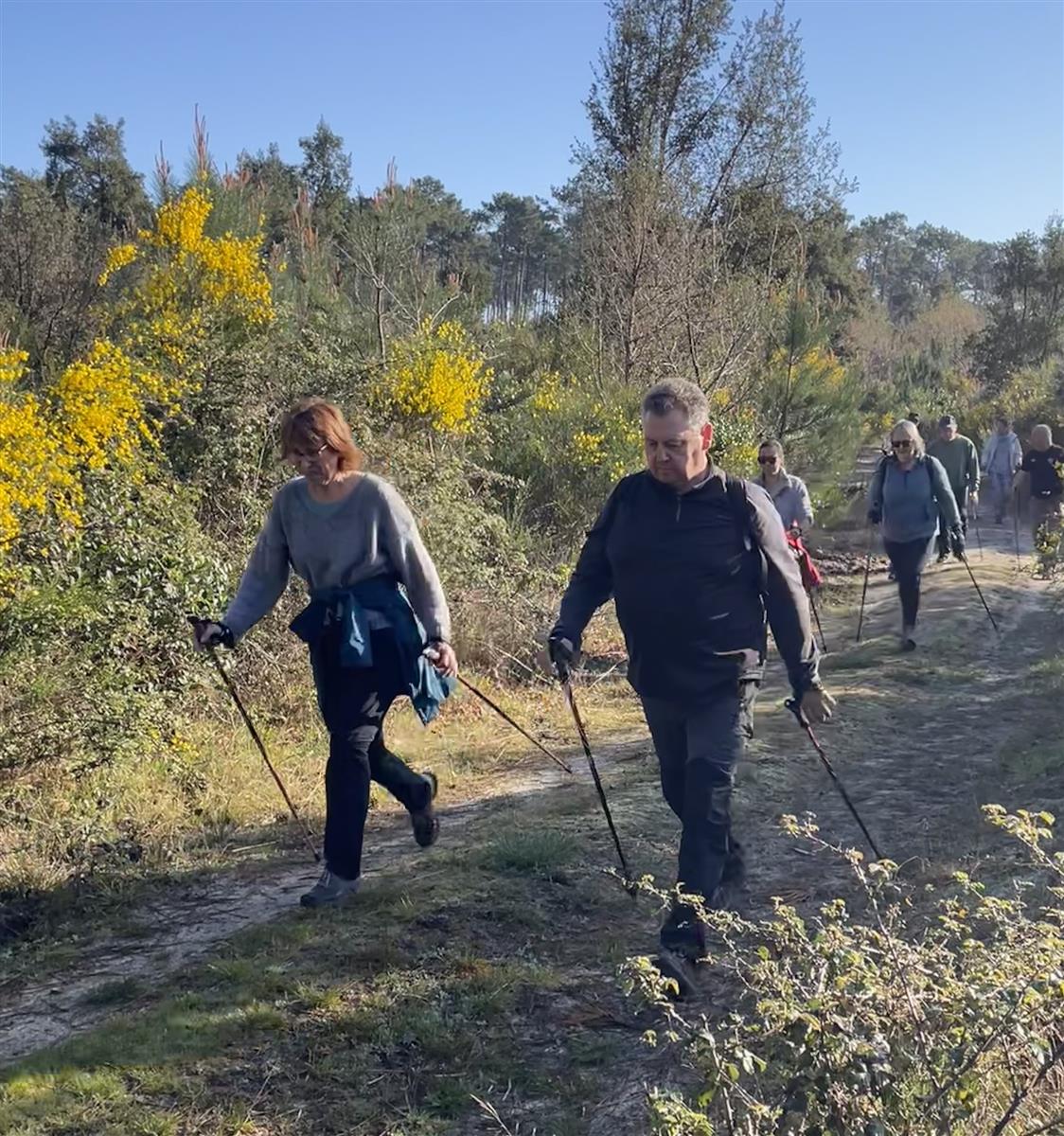 Découverte gratuite de la marche nordique