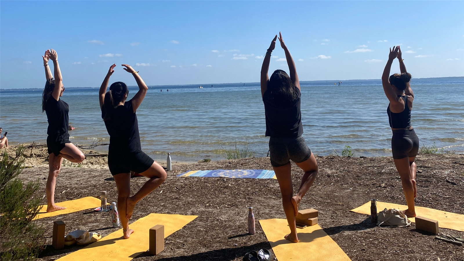 Stage yoga immersion en plein air