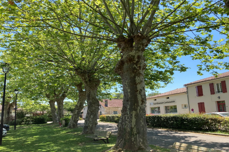 Marché rural à Duhort-Bachen