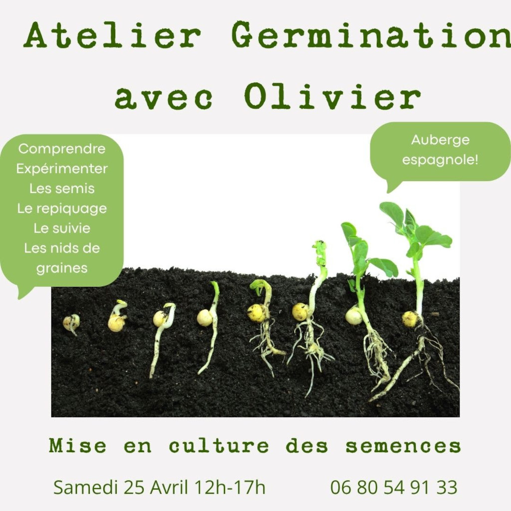 Atelier germination