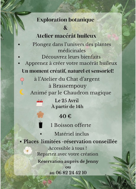 Exploration botanique & création de macérât hu ...