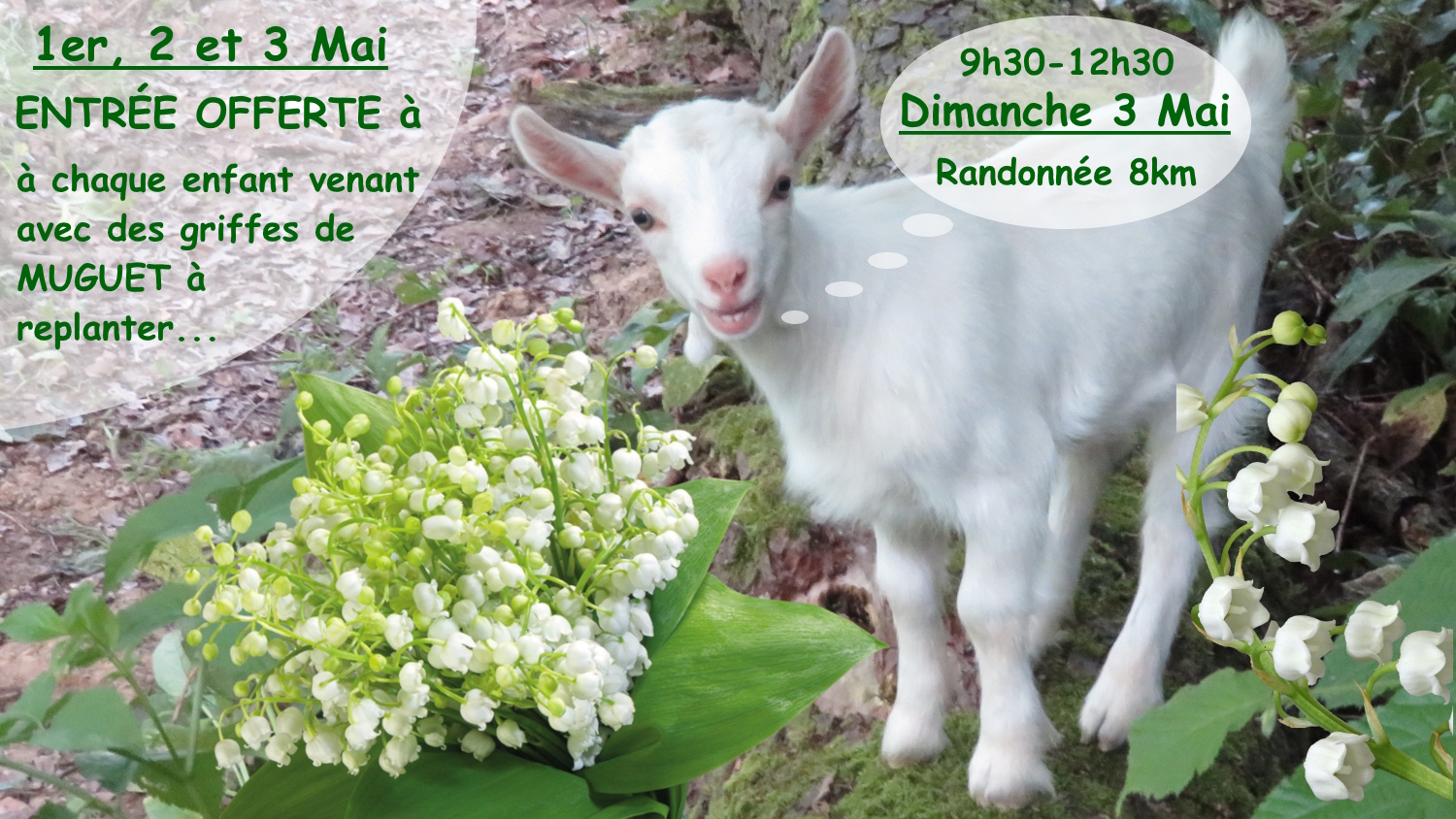 Une GRIFFE de MUGUET à PLANTER contre l’entrée ...