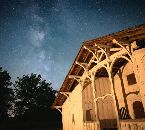 Jour de la Nuit