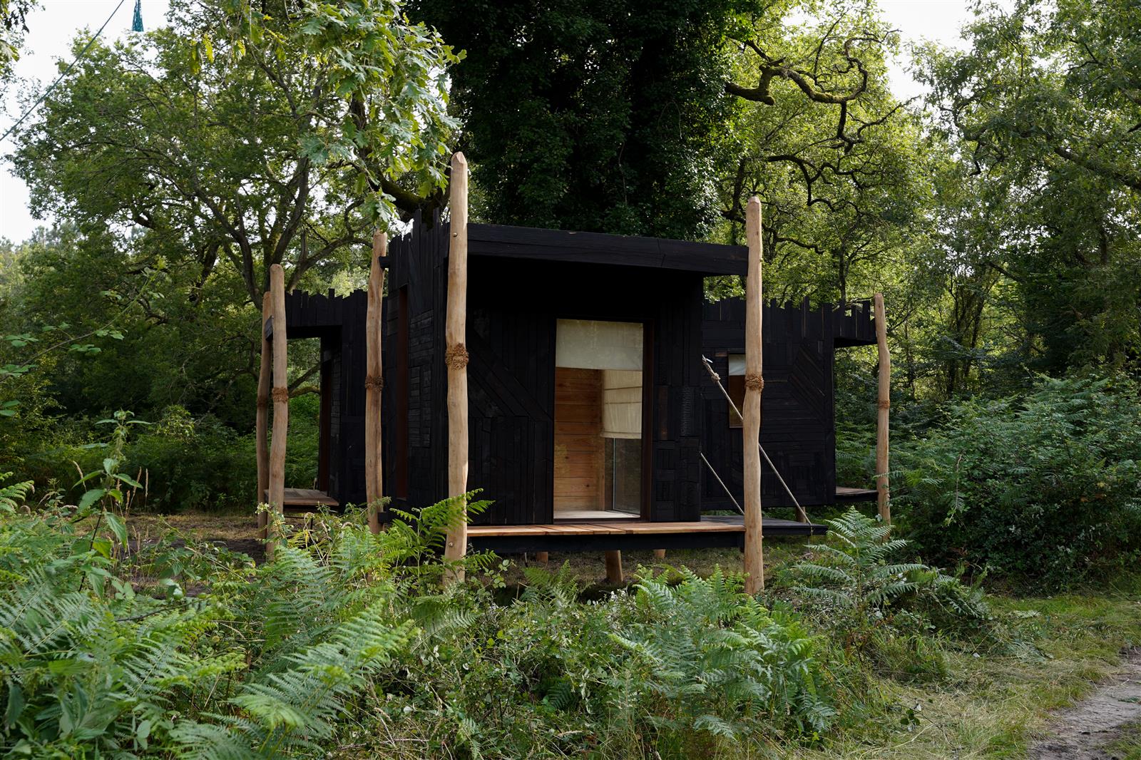 Soirée artistique au bord de l’étang de Brocas