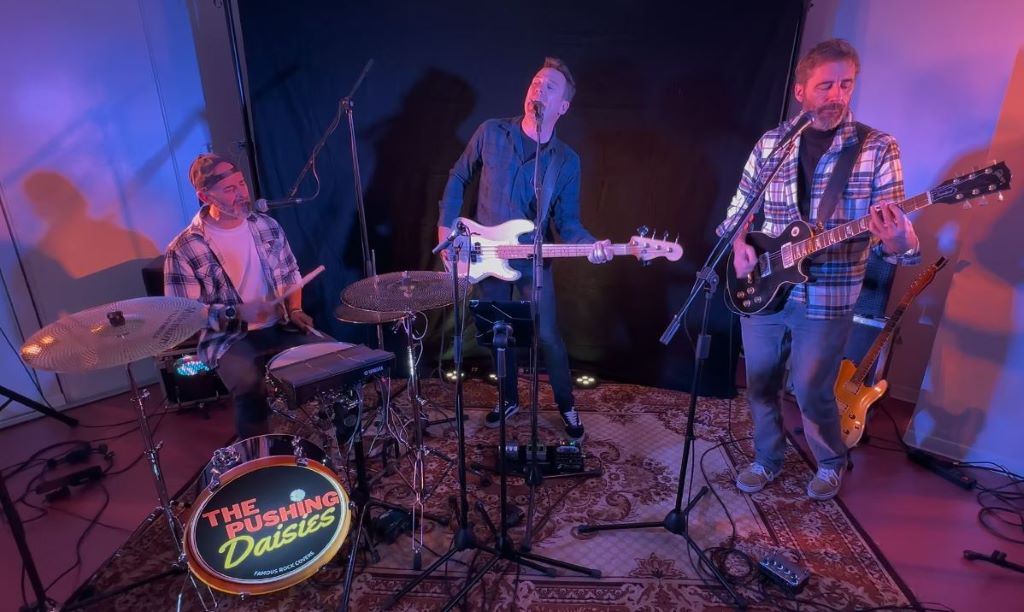 Concert The Pushing Daisies