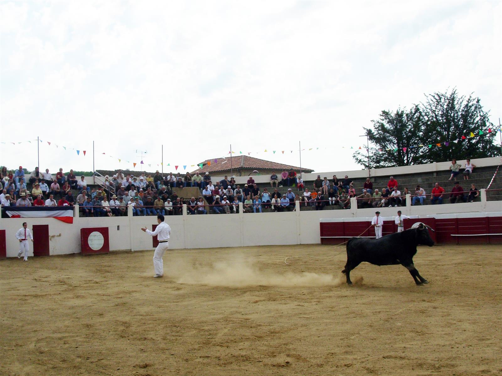 Découvrez la course landaise de l'intérieur av ...